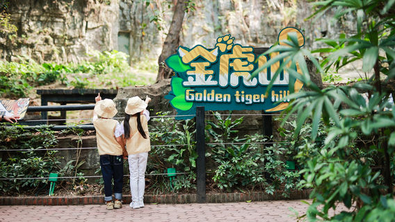 廣州旅行服務