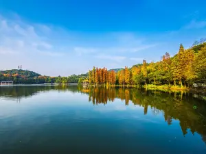 西樵山風景名勝區