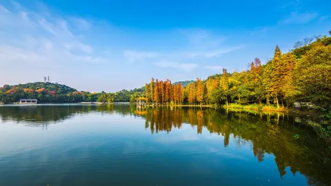 西樵山風景名勝區 attraction in 佛山