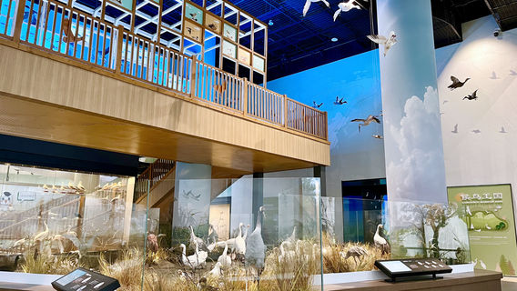 Poyang Lake International Wetland Migratory Bird Center