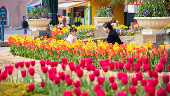 Changsha COLORFUL WORLD