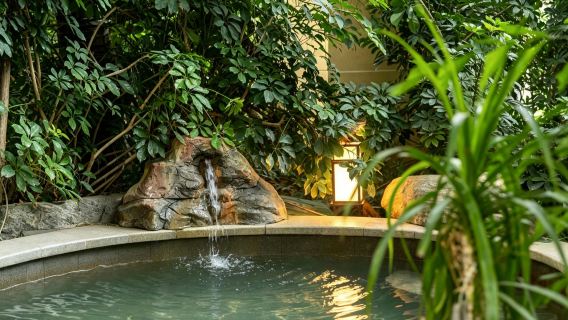 Enjoy Royal Hot Spring