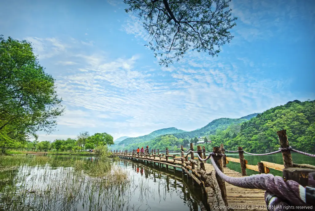 남이섬