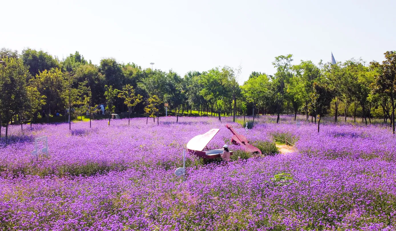3_The China(Zhengzhou) Greening Expo Park