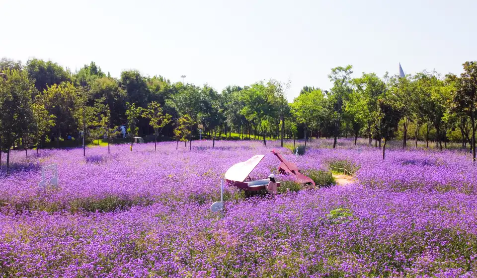 2_The China(Zhengzhou) Greening Expo Park