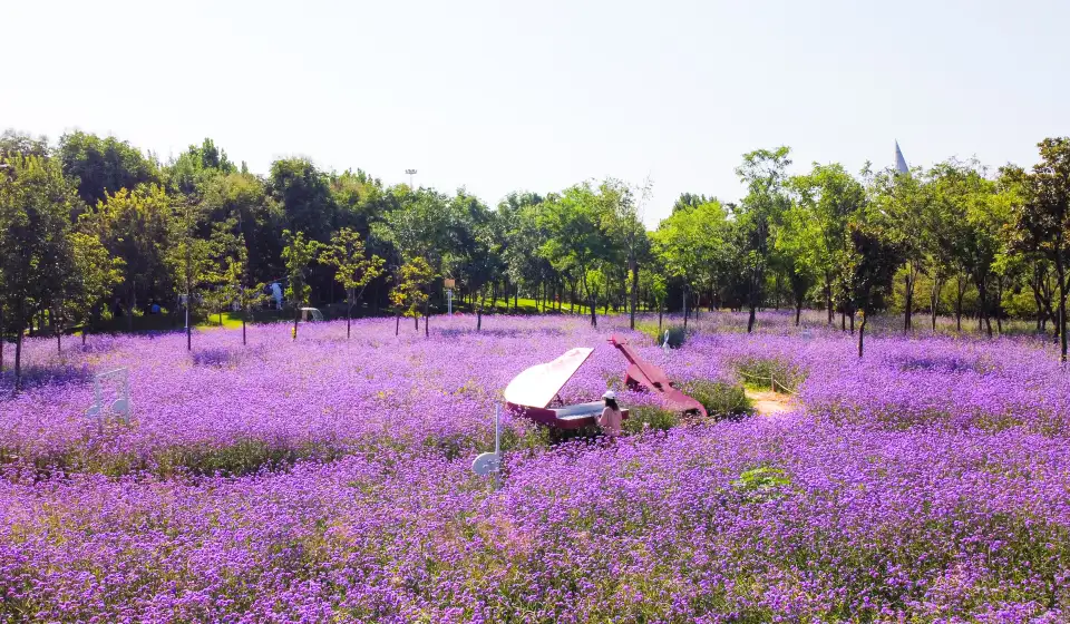 2_สวนนิทรรศการสีเขียวของจีน