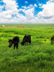 Ordos Grasslands Tourist Area