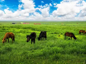 Ordos Grasslands Tourist Area