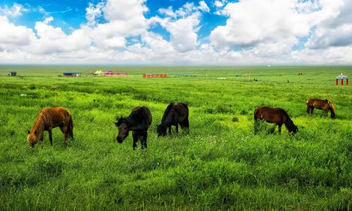 Ordos Prairie Tourism Region
