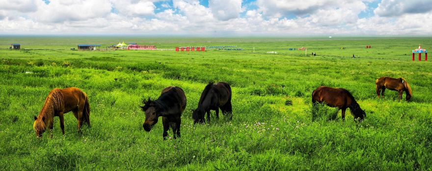 Ordos Prairie Tourism Region