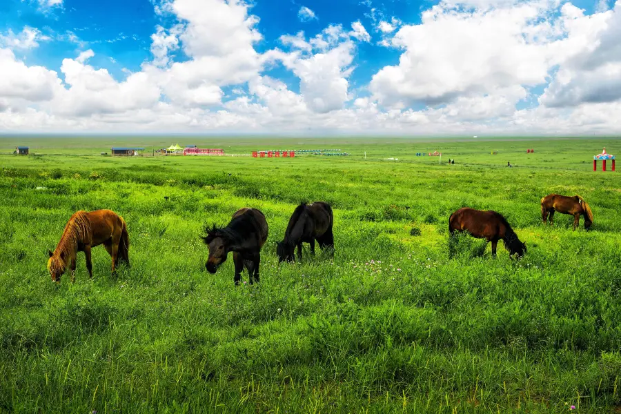 Ordos Grasslands Tourist Area