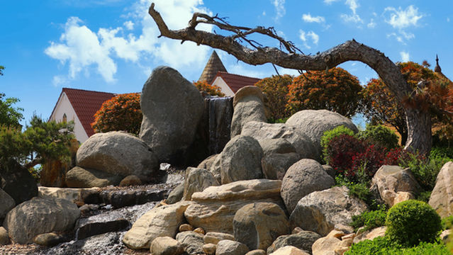 zui dong feng xiang cun yi zhan