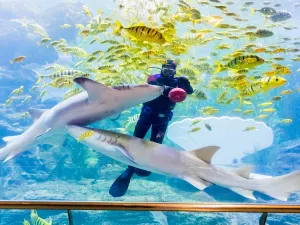 Underwater World Pattaya
