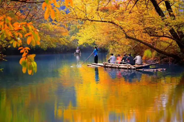 Hotels near Luoping Xiangshijie Forest Park