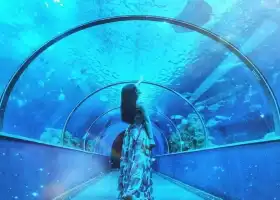 澎湖水族館