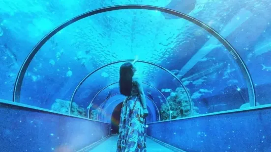 澎湖水族館