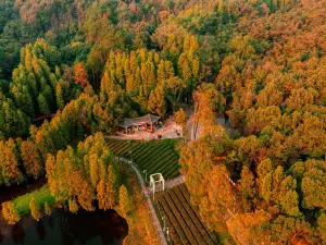 Jiuzhen Mountain Scenic Area