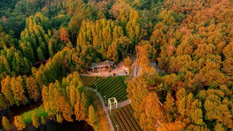 Jiuzhen Mountain Scenic Area attraction in Wuhan