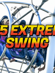 GX-5 Extreme Swing