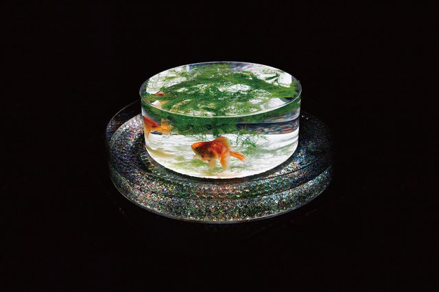 金魚藝術展 | 台北