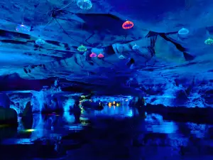 Swan Cave Group
