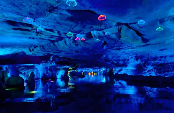 天鵝洞景區門票長者