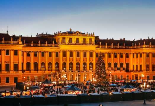 Votive Church + Schönbrunn Palace + St. Stephen's Cathedral + St. Peter's Church Vienna day tour