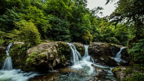 Longcanggou Guojia Ji Forest Park