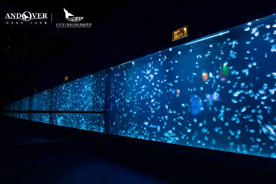 5_Beijing Andover Taipingyang Under Water World