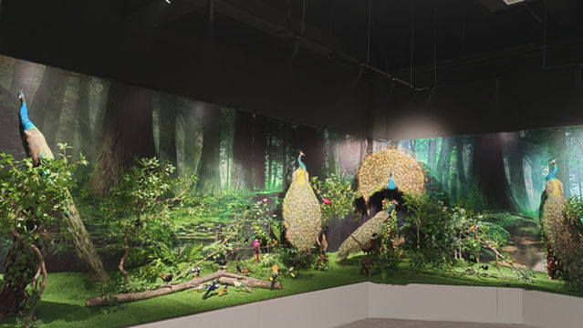 shi kong long zi ran yan xue guan