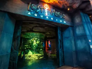 ロストチェンバー水族館