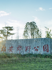 雄安郊野公園