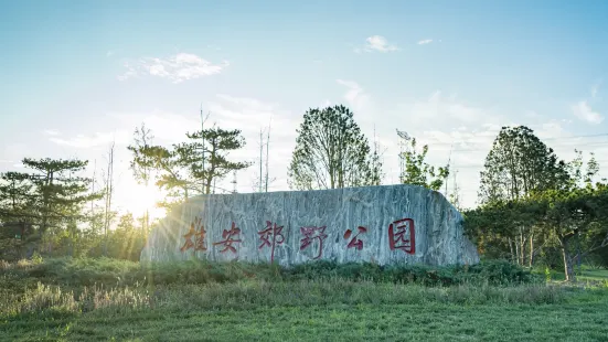 雄安郊野公園