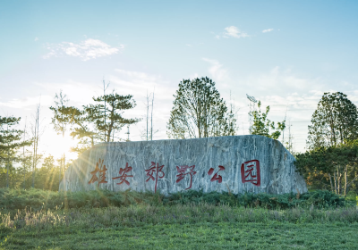 雄安郊野公園