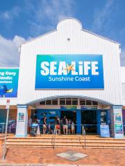 SEA LIFE サンシャイン・コースト水族館