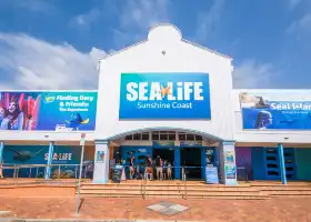 SEA LIFE 선샤인코스트 수족관