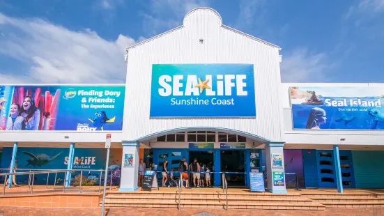 SEA LIFE サンシャイン・コースト水族館
