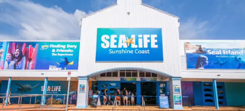 Ascend Collection Properties in Mooloolaba