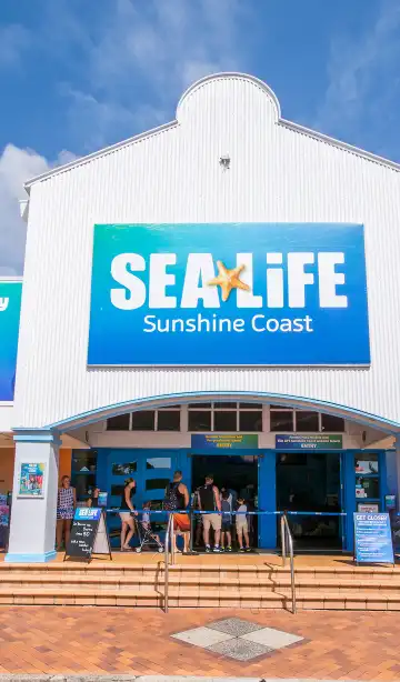 鄰近USC Sunshine Coast Library的酒店