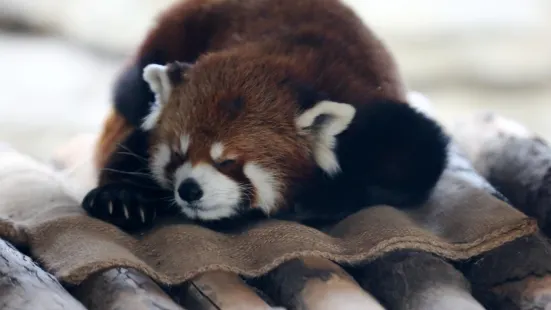 濟南動物園