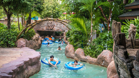 Adventure Cove Waterpark