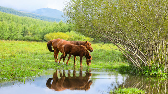 Yangchang River Wetland Scenic Area