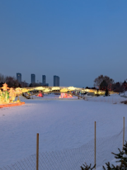 雞西市首屆冰雪花燈遊園會