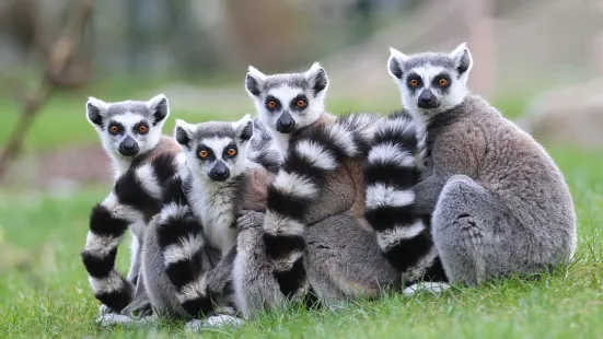 樂環球動物主題樂園