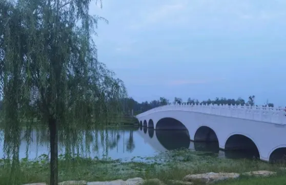 南海濕地公園2人腳踏船票大小同價