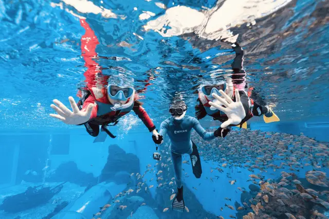 Diving in Lingshui