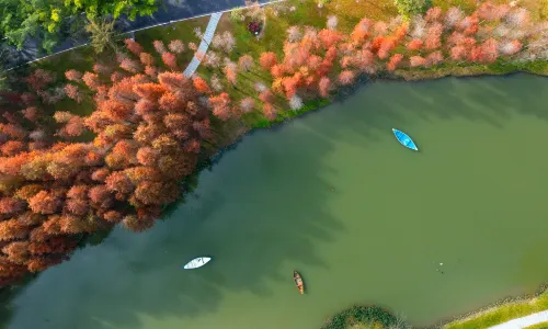 Shampoola Tourism & Holiday Forest