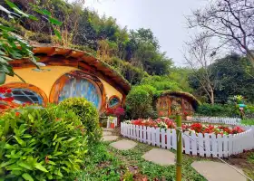 哈比丘茶樹森林