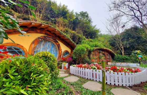 哈比丘茶樹森林門票成人