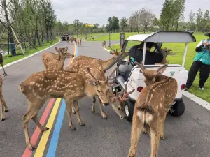SUQIAN SENDI SAFARI PARK